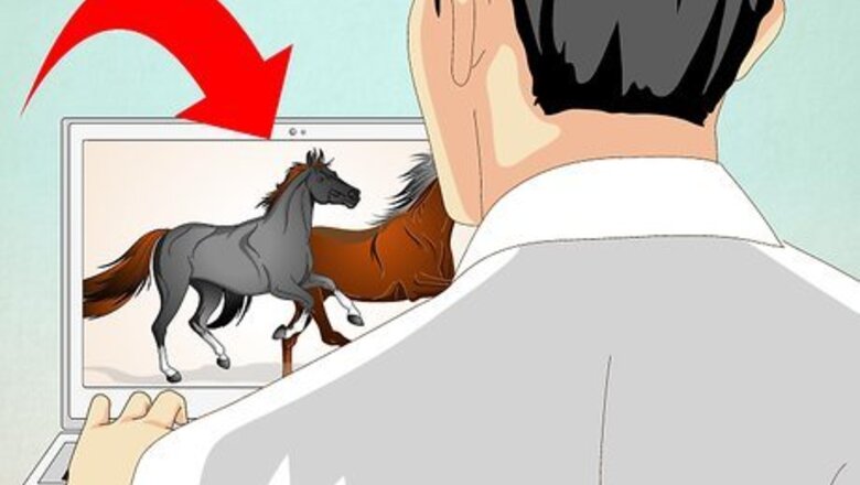 How to Draw a Realistic Looking Horse