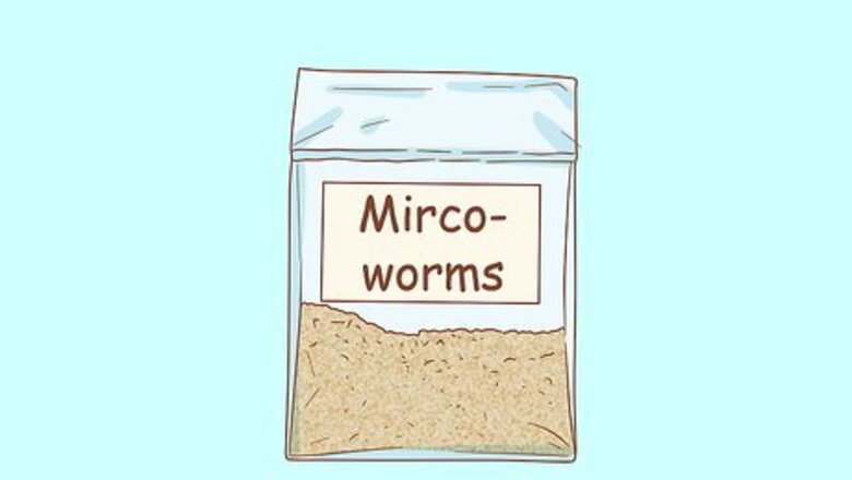 How to Culture Microworms