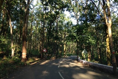 A power surplus state has no power for tribals in Bastar