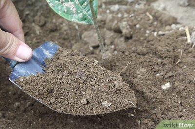 How to Make Clay from Indigenous Soil