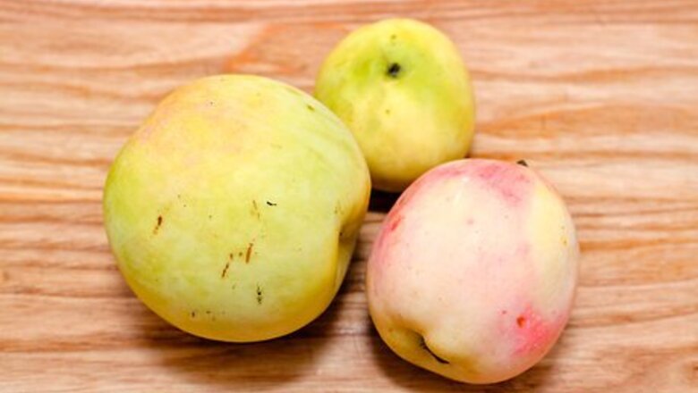 How to Ferment Apple Juice