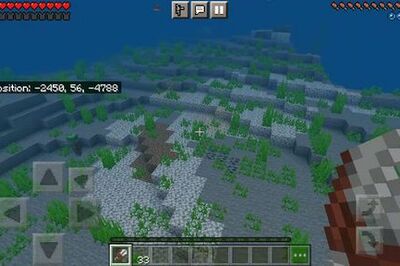 How to Keep a Pet Turtle in Minecraft