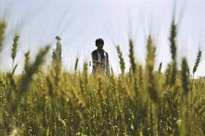 NGOs, farmer organisations hits out at Centre on Land Bill