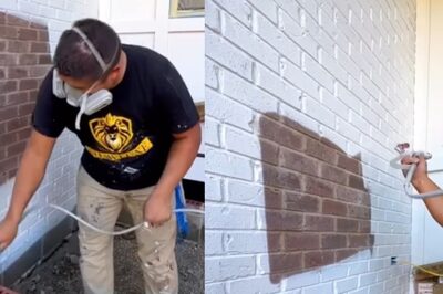 This Man Spray Painting On Wall Is The Most Satisfying Video On Internet