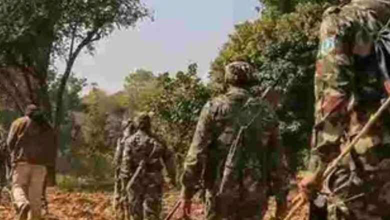 2 SSB Jawans Killed as Vehicle Falls into Gorge in Uttarakhand