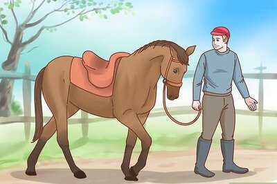 How to Teach a Horse to Bow