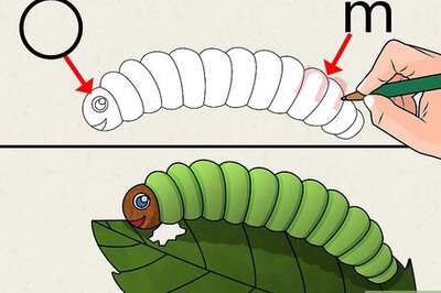 How to Draw Animals (Kids)