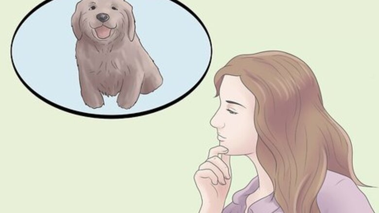 How to Raise a Balanced Puppy