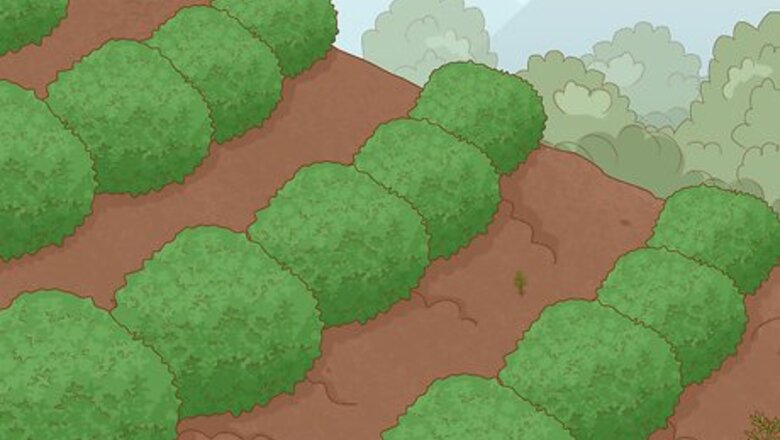 How to Prevent Soil Erosion