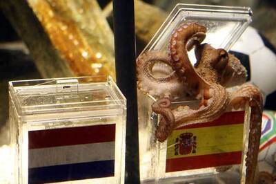 Octopus oracle Paul to retire