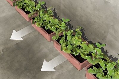 How to Pressure Wash Concrete