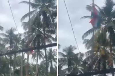 Viral Video Of Bird Helping To Hoist Tricolour Turns Out To Be A Clever Illusion