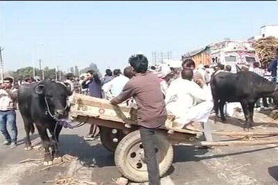 Haryana Jat quota stir death toll now 30, army withdrawal begins