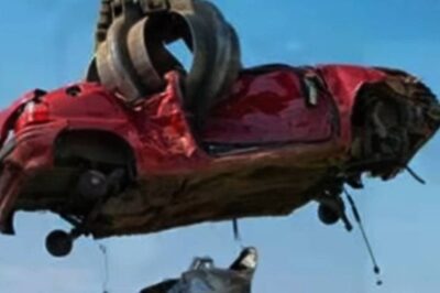 Vehicles Scrappage Policy 2021: Multiple States Need Aggressive Push, Details Here