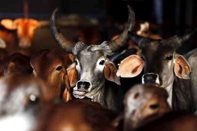 Drop Beef to Save Millions of Lives, Slash Greenhouse Gas Emissions: World Economic Forum