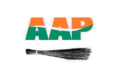 Goa: AAP Leader Claims Sting Operation Bid; Man Detained