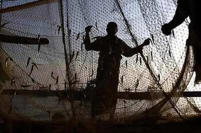 Odisha's voice messaging service for fishermen is saving lives, boosting income