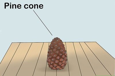 How to Make a Rubber Mold