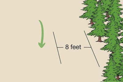 How to Start a Bonfire