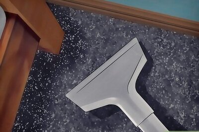 How to Get Rid of Mites