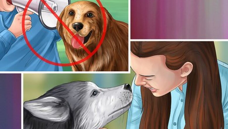 How to Give Your Dog Healthy Attention