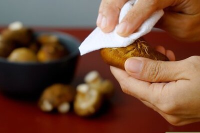 How to Dry Mushrooms