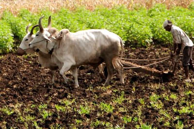 PM Kisan 12th Installment Soon, Govt Extends eKYC Deadline; How to do PM Kisan eKYC