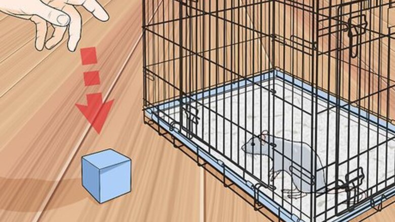 How to Train a Rat to Retrieve Objects