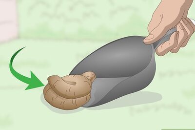 How to Dispose of Dog Poop