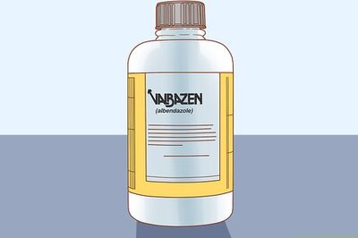 How to Drench a Goat