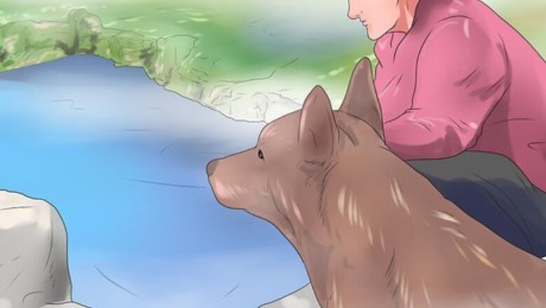 How to Bond With Your Dog
