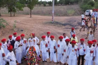 At Rajasthan’s Jalore, Wedding Procession On Camel Carts Surprises Locals