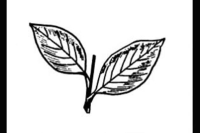 AIADMK organisational polls in 14 phases