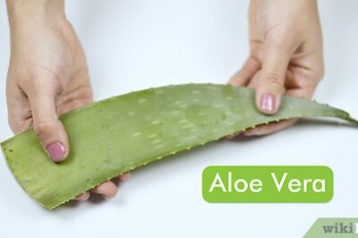 How to Make Hair Gel Using Aloe Vera Pulp