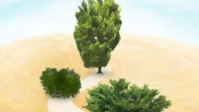 How to Plant Juniper