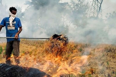 ‘No Penal Action, Only Meetings’: SC Pulls Up Punjab, Haryana On Stubble Burning