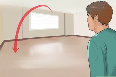 How to Teach Your Dog to Focus
