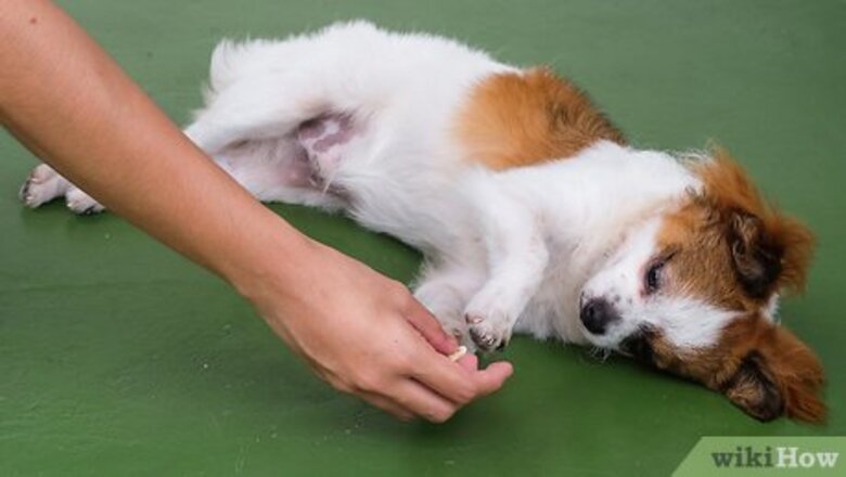 How to Train Your Dog to Roll Over