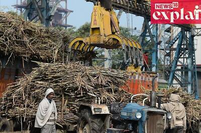 After Ban on Export of Rice, India to Impose Curbs on Sugar? | Explained