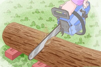 How to Preserve Bark