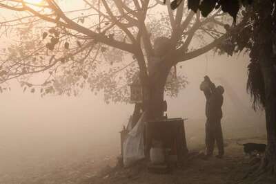 Vrikshayurveda – The Ancient Indian Science of Plant Life