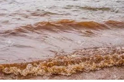 Pune Residents Continue To Get Muddy Water Supply 9 Days After Floods