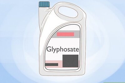 How to Get Rid of Foxtails