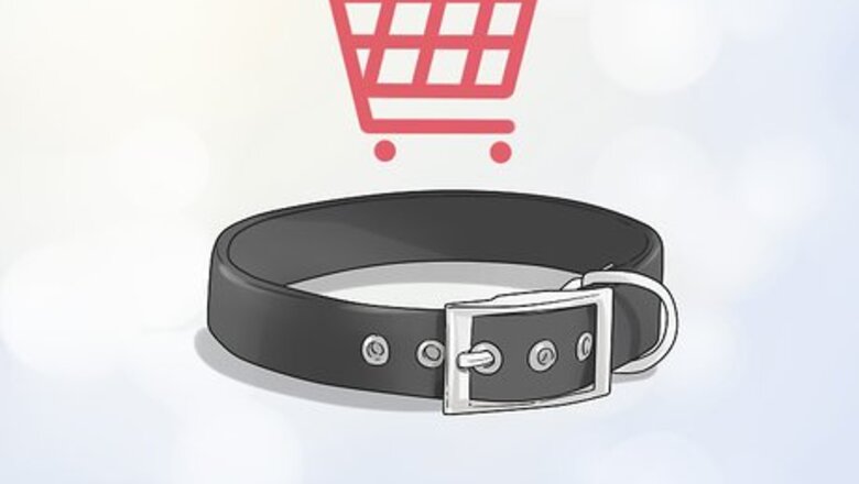 How to Give Dogs What They Need