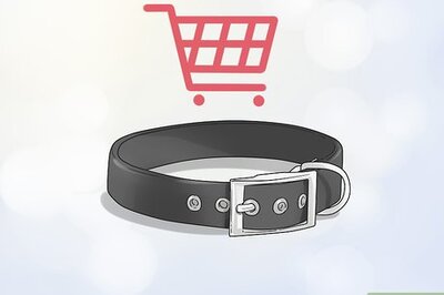 How to Give Dogs What They Need