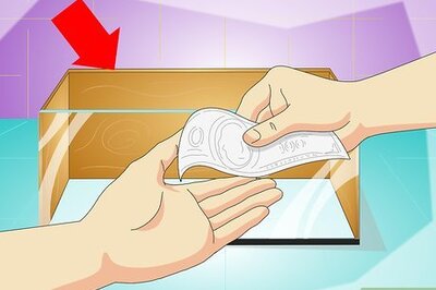 How to Set Up a Vivarium for a Bearded Dragon