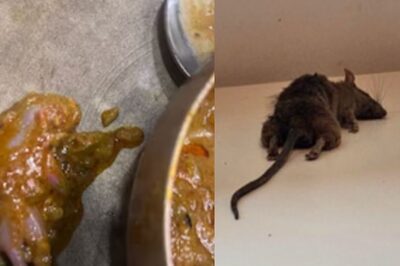 Lizard in Sambar, Rat in Gravy: 5 Times When Indians Were Left With Bad Taste in Their Mouths