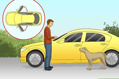 How to Travel by Car with a Fearful Dog
