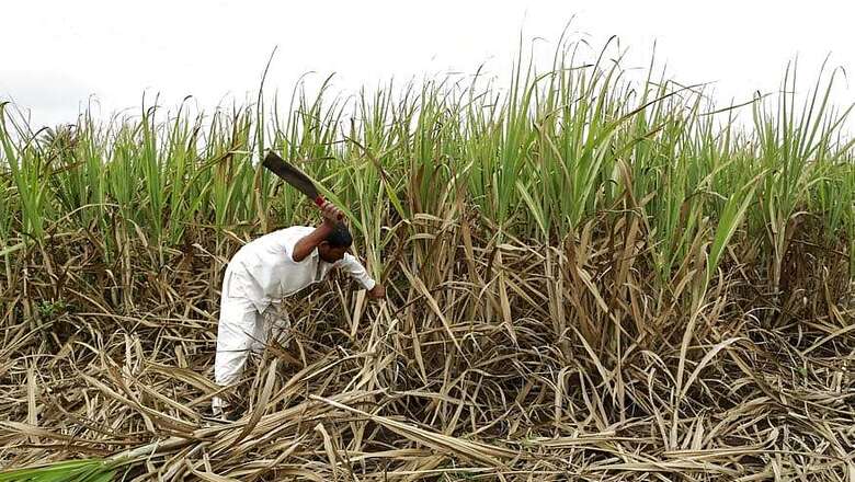NITI Aayog Member Bibek Debroy Bats For Taxing Agricultural Income