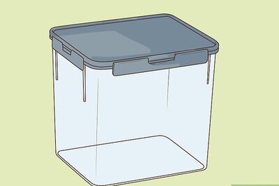 How to Care for Superworms